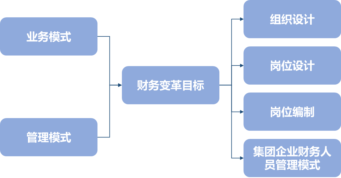 财务变革目标
